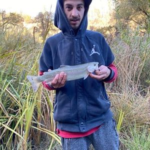 Meet your Posher, David